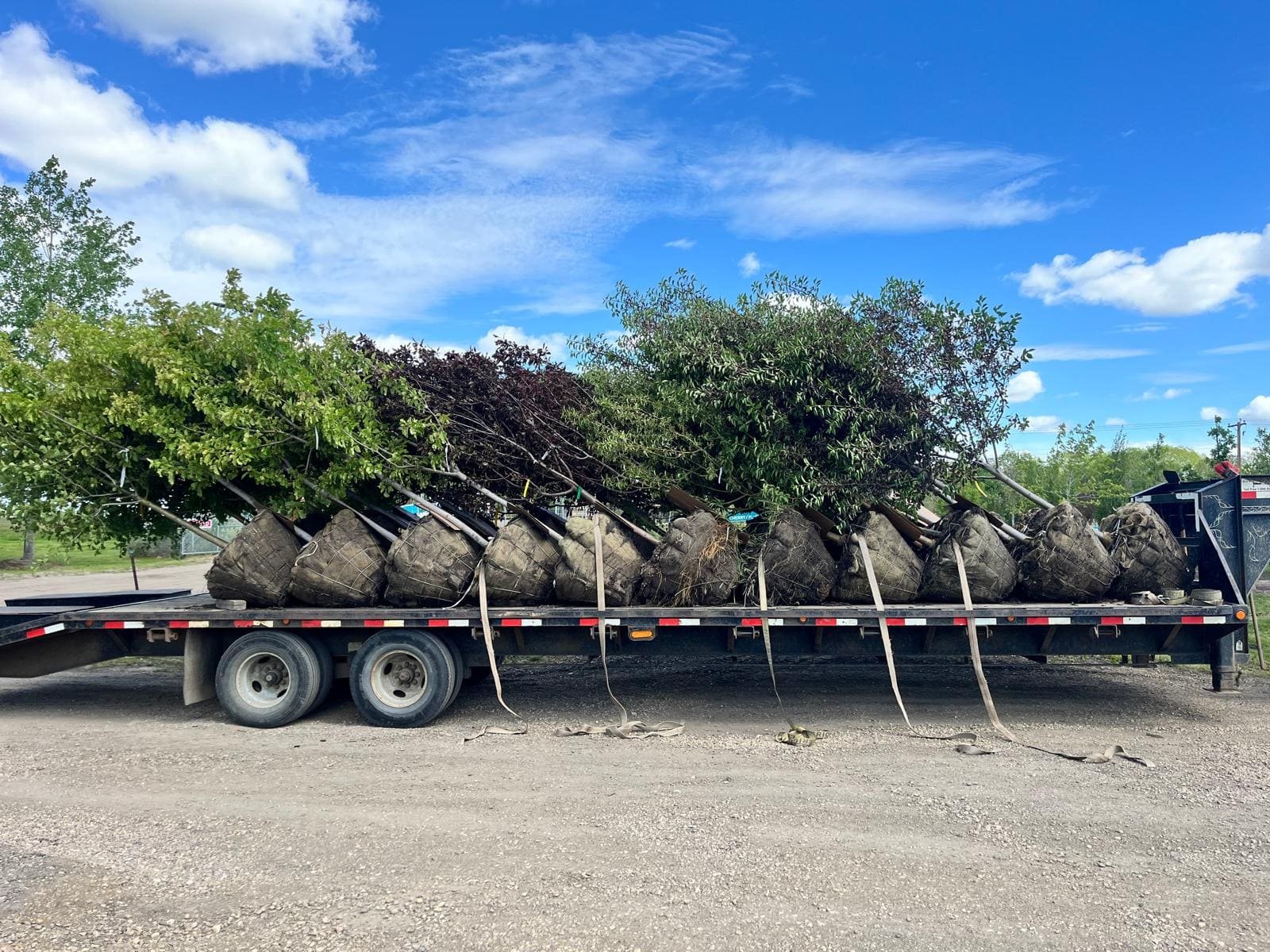 Alberta Landscaping Image